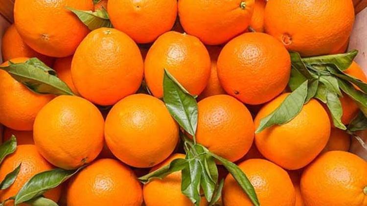 Uzmanı uyardı: Bu gıdaların hepsi sahte