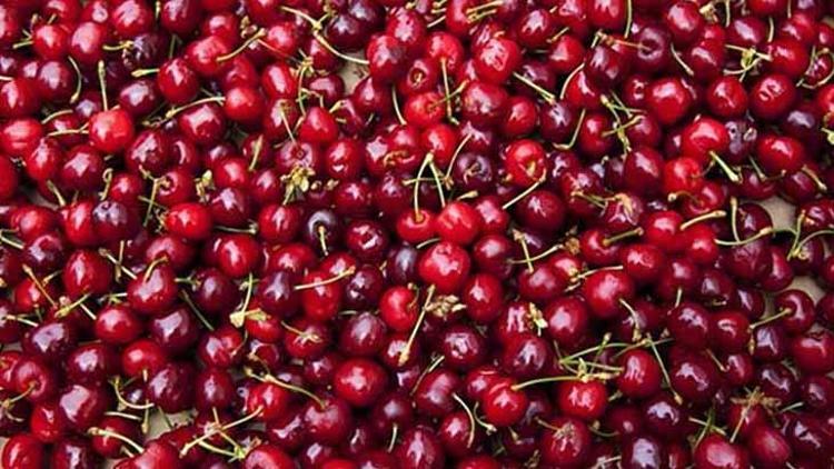 İzmirin hangi lezzetleri tescilli ve tescil bekliyor İşte peynirden kavuna uzanan ‘tescil kuyruğu