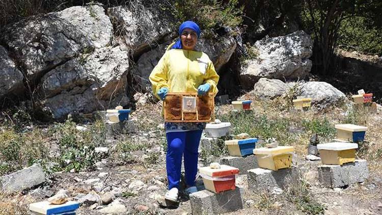 Ürettiği kraliçe arıların tanesini 100 liradan satıyor