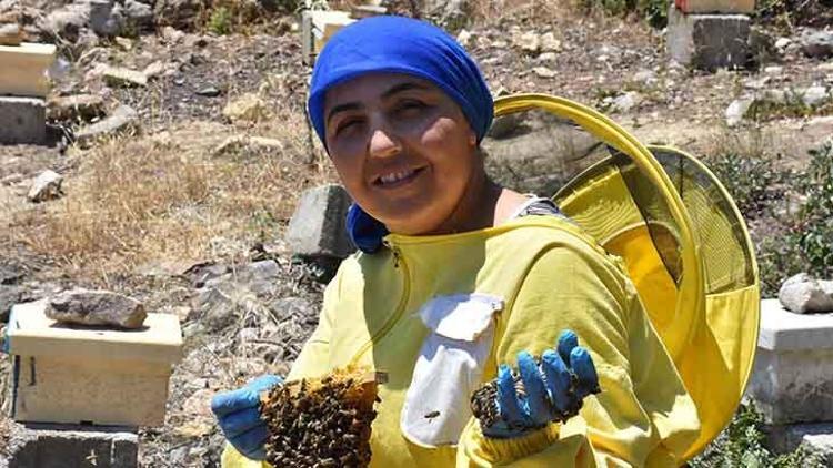 Ürettiği kraliçe arıların tanesini 100 liradan satıyor