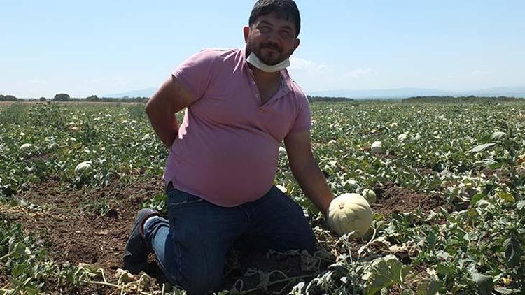 İyi kavun, tadına, boyutuna göre değişir
