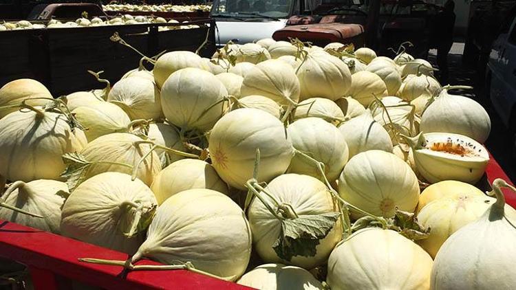 Tüm dünya bu kavunun peşinde Çekirdeğini alabilmek için...