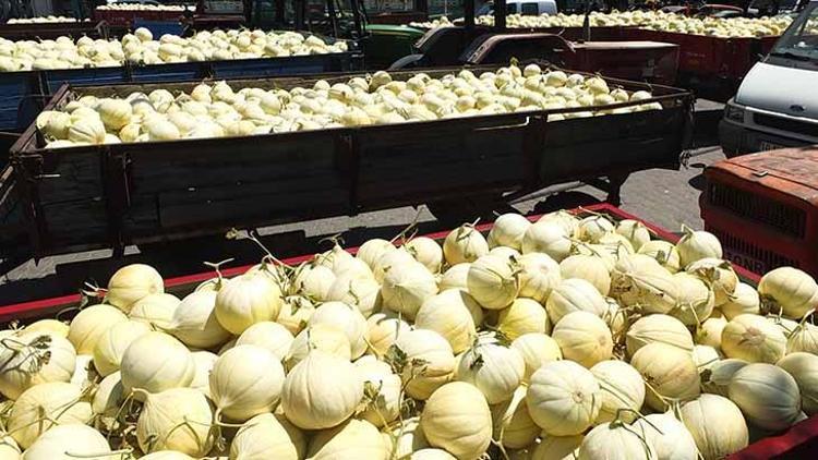 Kavunumuzu herkes tanıdı. Bizden çekirdeğini istemeye geliyorlar