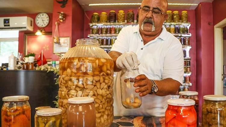 239 çeşit turşu arasında Ahtapot turşusuna yoğun ilgi