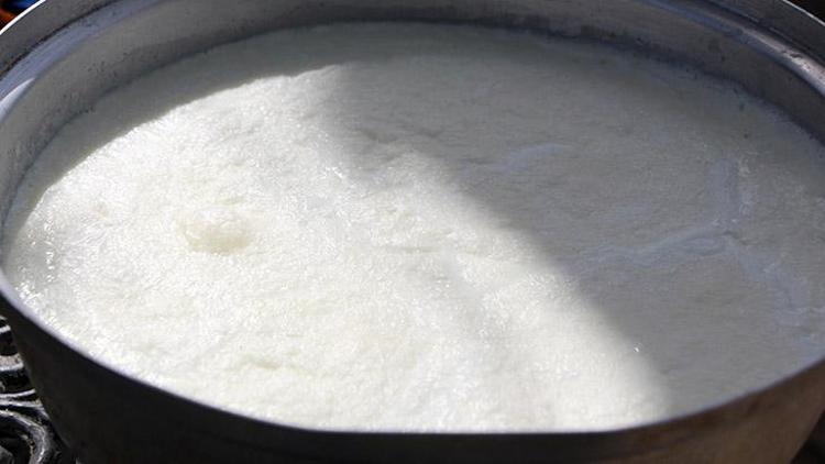 Bolunun meşhur manda kaymağı tescillendi