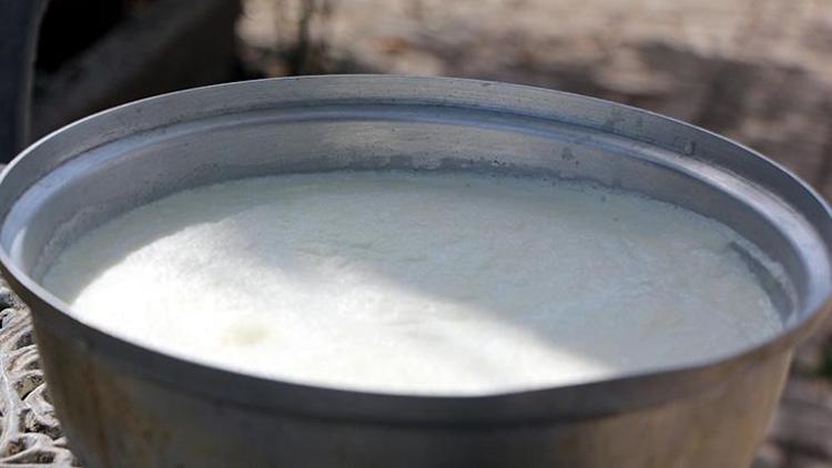 Bolunun meşhur manda kaymağı tescillendi