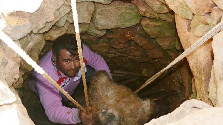 4 ay kuyuda bekletip kilosu 100 liradan satıyorlar
