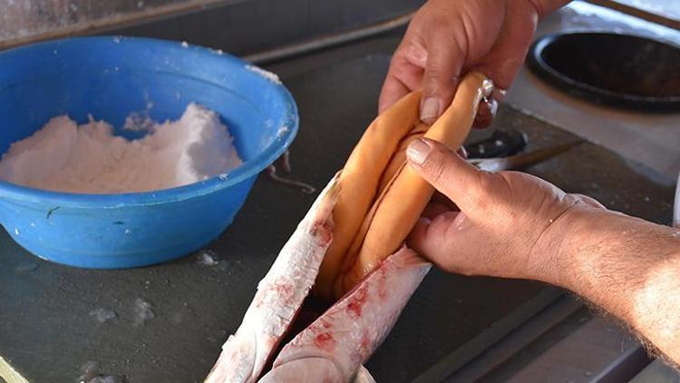 Kefal yumurtası nasıl havyar haline getiriliyor