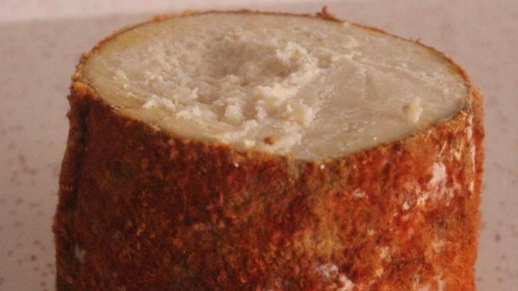 Fransızların rokforuna rakip olarak görülen tek peynir: Divle peyniri