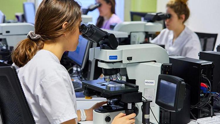 2020de en çok tercih edilen gıdalar belli oldu - 2021 yılında hangi gıdalar trend olacak