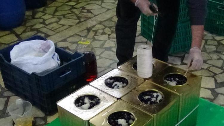 Bu zeytinler lezzetini pamuk ipliğinden alıyor 10 günde bir...