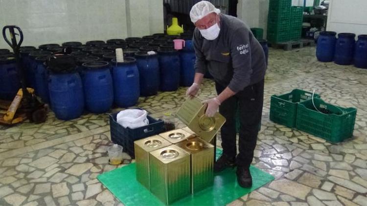 Bu zeytinler lezzetini pamuk ipliğinden alıyor 10 günde bir...