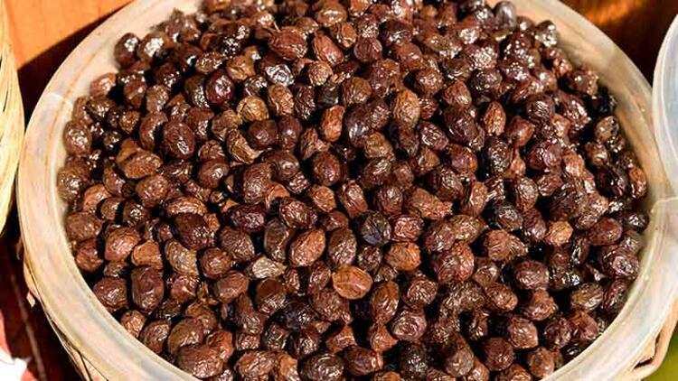 1 ayda zeytin hazır hale geliyor