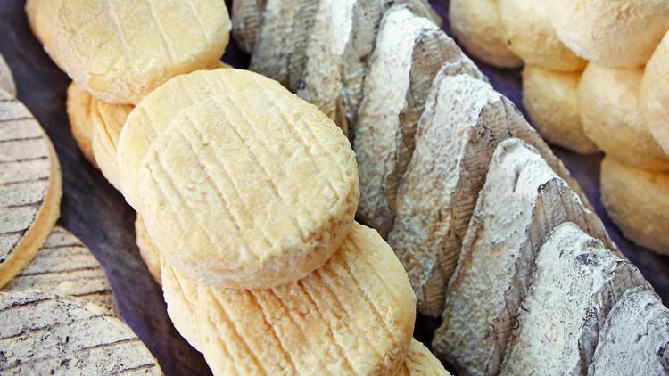 Balıkesirin manda kaymağı ve küflü deri katık peyniri tescillendi