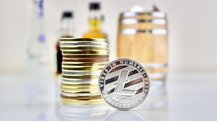 3. Litecoin 2017 yılında neden büyük bir büyüme oranı kaydetti