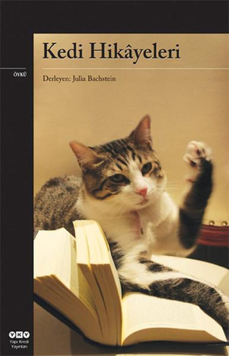 9- Julia Bachstein - Kedi Hikâyeleri