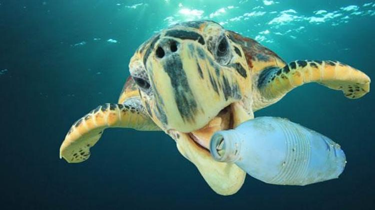 2. Plastik atık neden bu kadar zararlı