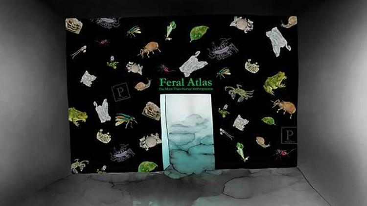 16. İstanbul Bienali: Yedinci Kıtayı keşfedebilmek