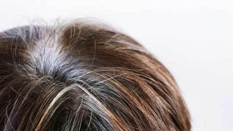 Çevresel faktörler