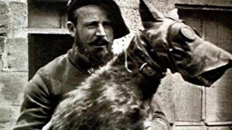 4- Koşan Köpek Savaşı