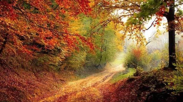 Aniden buz kesti hava