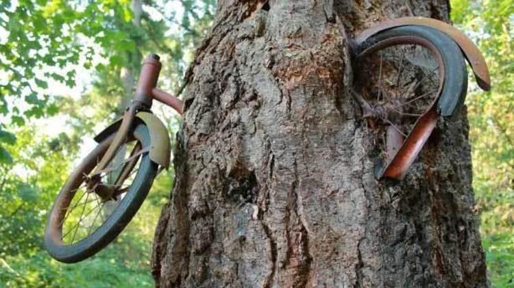 Hikayeyi gerçek sandılar