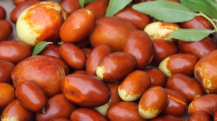 Büyük bir zeytin gibi, Çinliler vazgeçemedi Aç karnına hünnap yiyince bakın ne oluyor