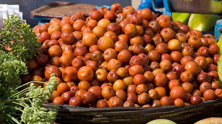 Büyük bir zeytin gibi, Çinliler vazgeçemedi Aç karnına hünnap yiyince bakın ne oluyor