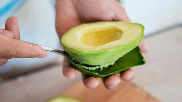 6- AVOKADO