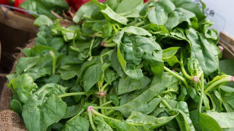 Sevmeyenler bile parmaklarını yedi Ispanak pişerken içine atın, vitamin bombası oluyor