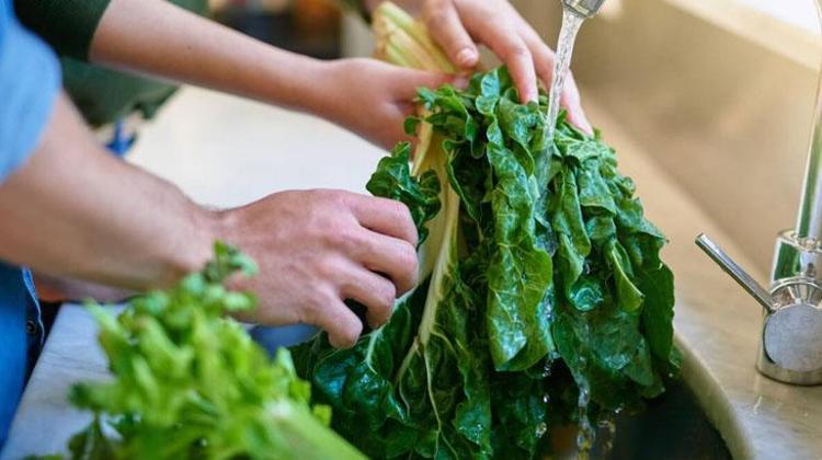 Sevmeyenler bile parmaklarını yedi Ispanak pişerken içine atın, vitamin bombası oluyor