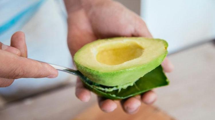 Avokado