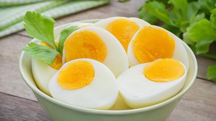 YUMURTA