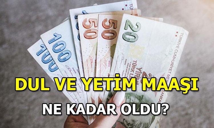 ZAMLI DUL VE YETİM AYLIĞI / MAAŞI 2024 | Dul ve yetim aylığı ek ödeme ne kadar, yüzde kaç zamlandı Dul ve yetim maaşı hesaplama