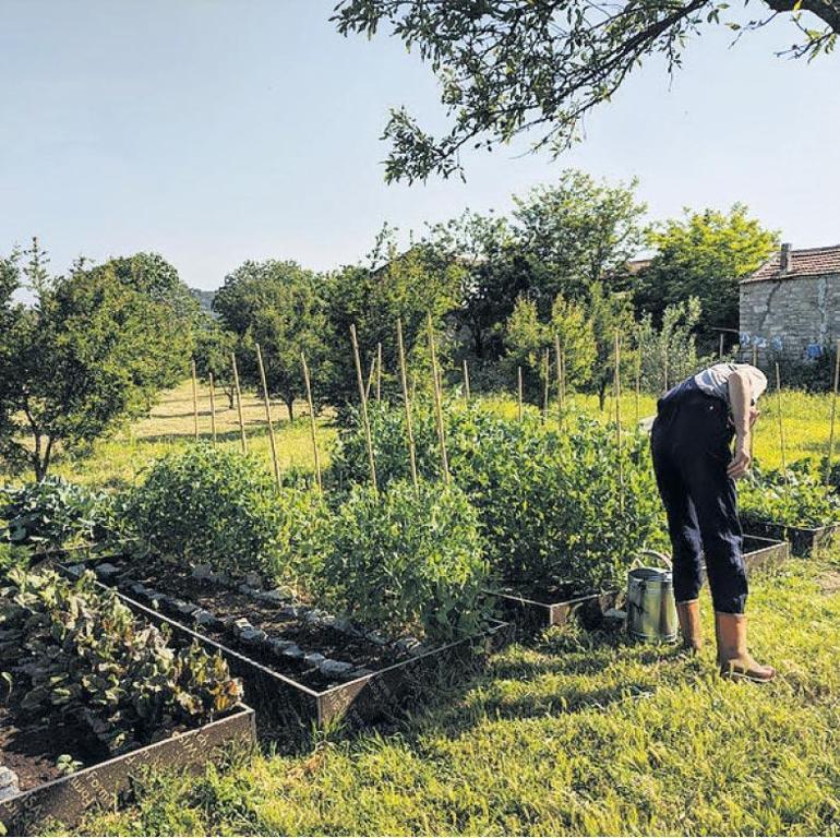 Bir misafirperverlik  ve işbirliği projesi