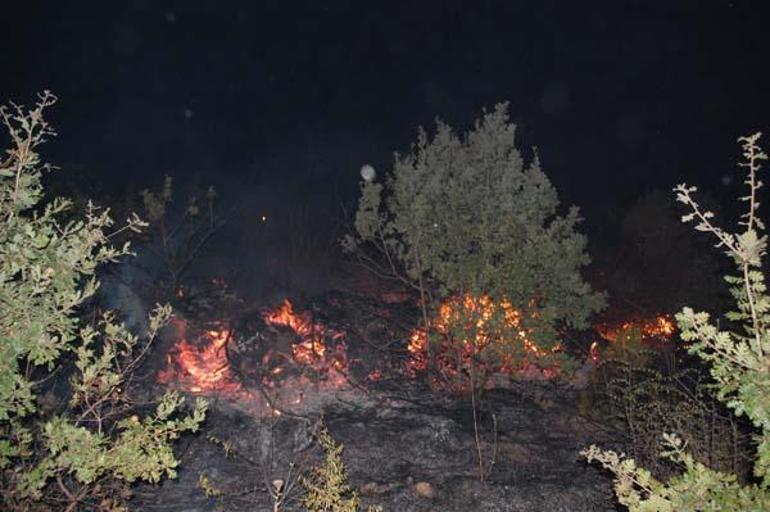 Tekirdağda orman yangını 150 dönüm alan zarar gördü