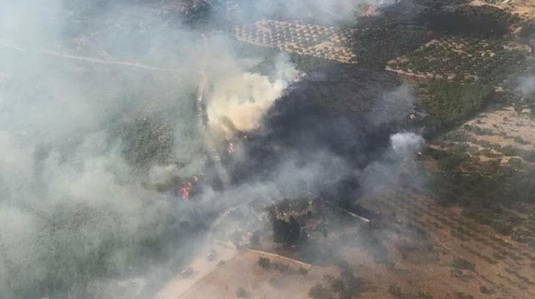 Son dakika| İzmirde makilik alanda yangın 3 helikopterle müdahale edildi
