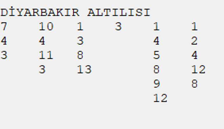 Son ayakta Miranbey