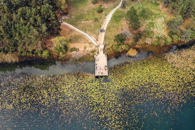 Şimdiki Zamanın Hikayesi