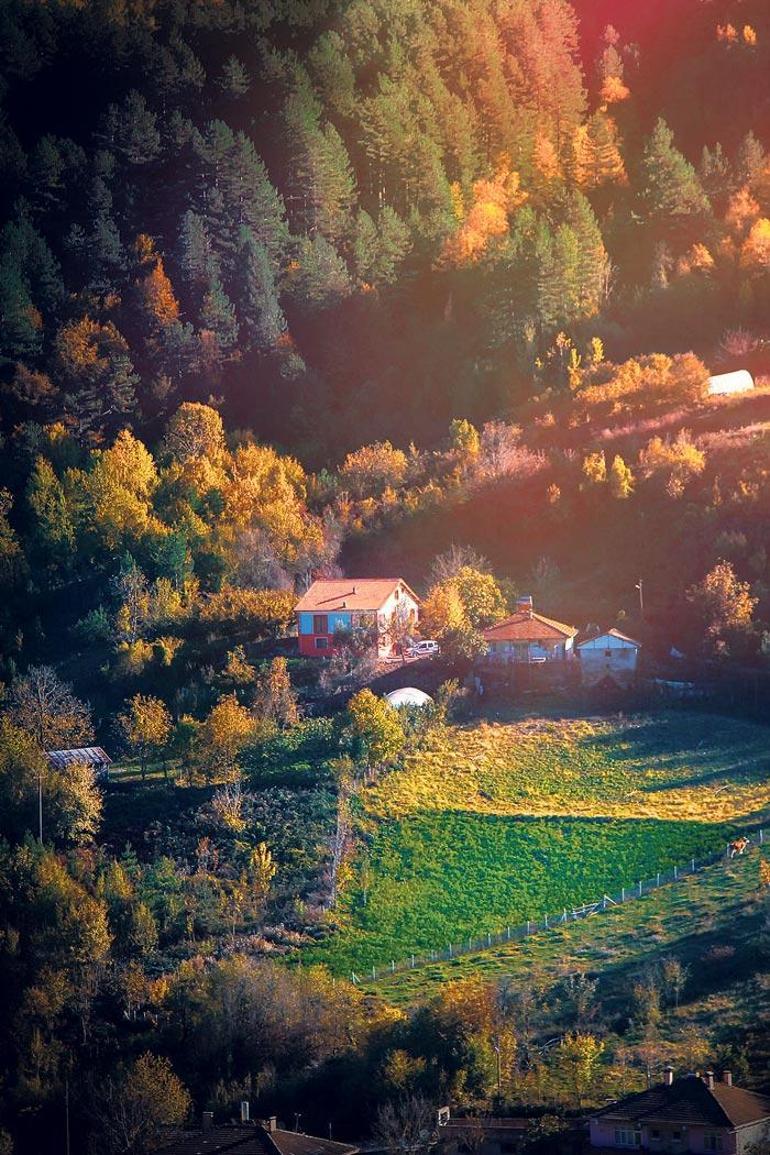 Şimdiki Zamanın Hikayesi