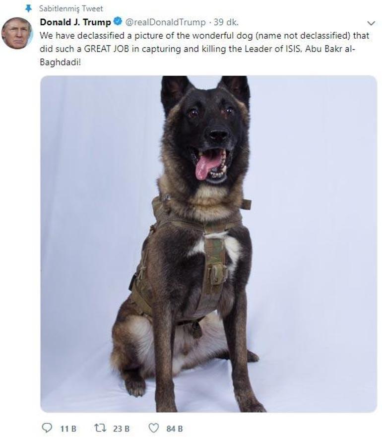 Son dakika: Trump Twitterdan paylaştı: İşte Bağdadiyi bitiren köpek