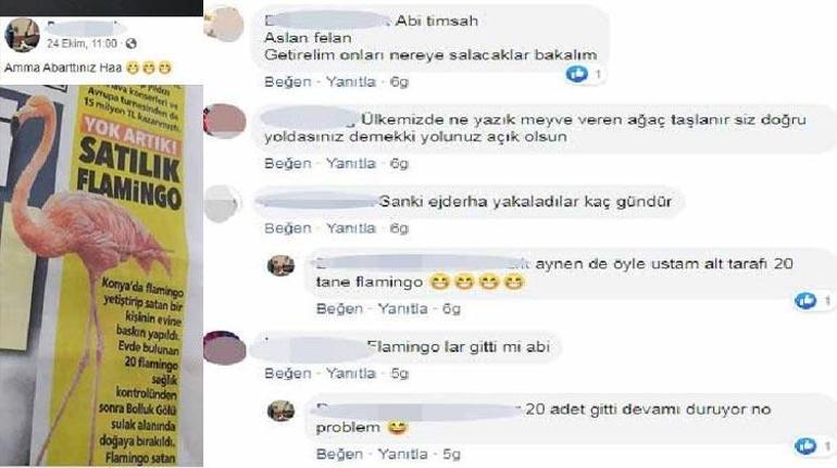 Flamingo satarken yakalandı Paylaşımı pes dedirtti