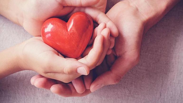 Organ bağışı ile ilgili doğru sanılan 10 yanlış