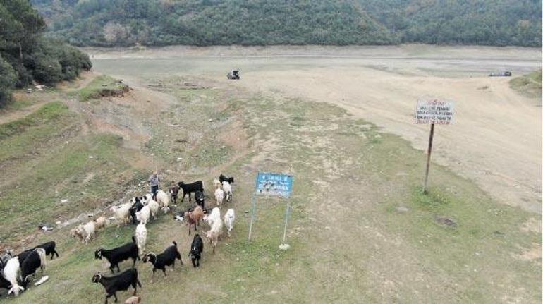Dip suyu alarmı İstanbula değil Yunanistana gidiyor