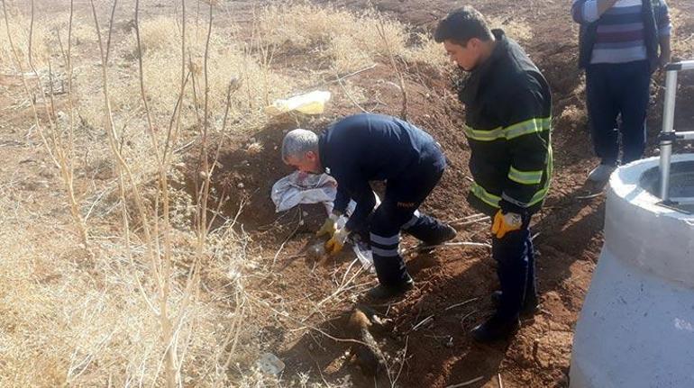 Bunu yapan insan olamaz Çuvala koyup çukura attılar