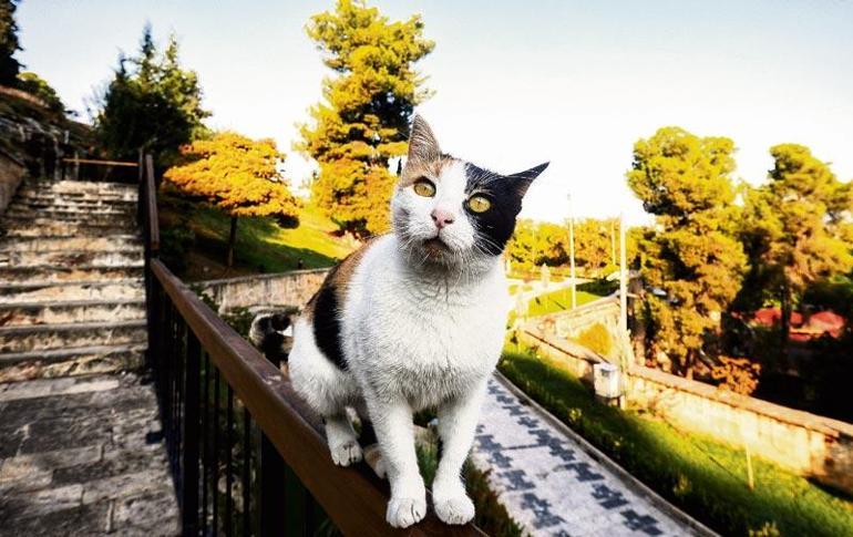 Şimdiki Zamanın Hikayesi