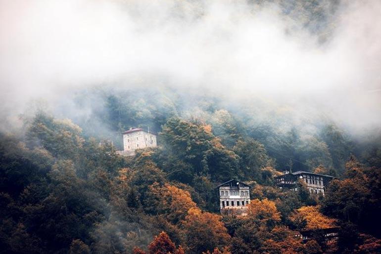 Şimdiki Zamanın Hikayesi
