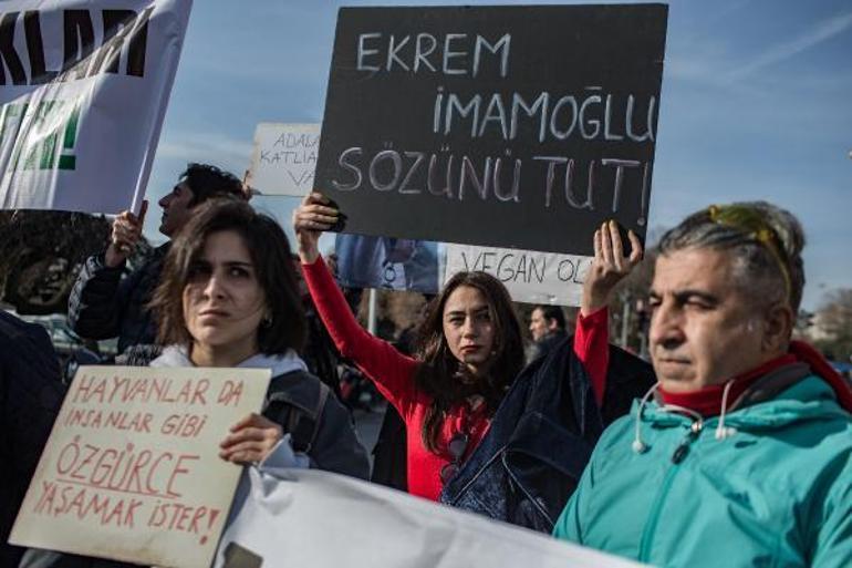 Büyükadadaki salgınla ilgili flaş iddia İBB önünde protesto