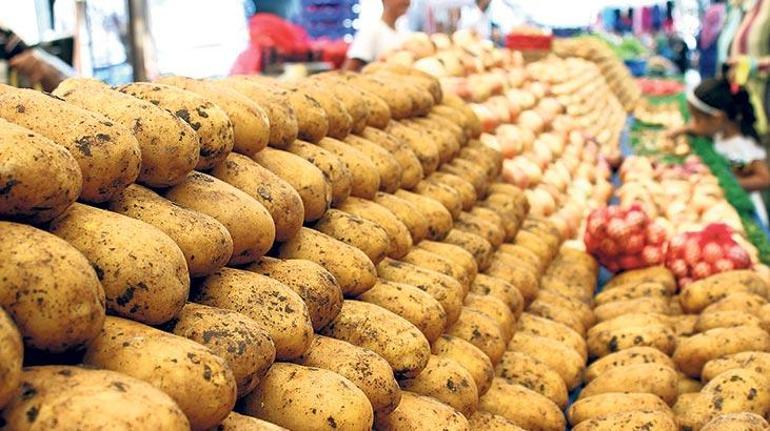 Patates ve soğana üretim planı şart