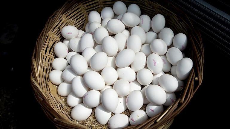 Yumurta üreticilerinin kuş gribi sevinci